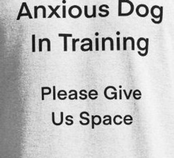 ängstlicher Hund.jpg