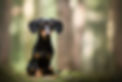 a23fa050-ba97-4024-9ba3-bd59c6c356eb.JPG