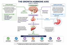 ipamorelin growth hormone releasing peptide mechanism of action HormoneReleasing Peptides: Investigation Their Secondary Structure, Thermal Stability, and Model Membrane Interactions Ipamorelin: The Ultimate Growth Hormone-Releasing