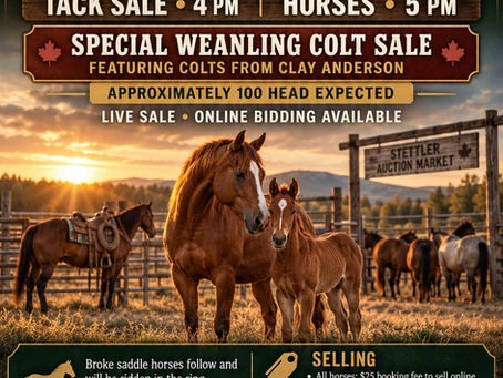 Upcoming Horse & Tack Sale on Wednesday, October 14, 2026