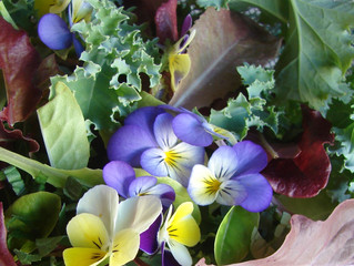In the Garden: Fast Growing Vegetables