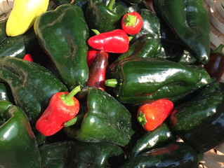 Summertime: Ferment