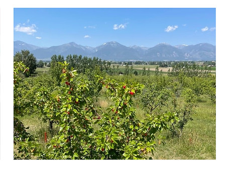 Screenshot 2026-04-19 at 11.50_edited.jp