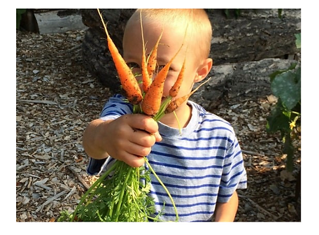 Screenshot 2026-04-19 at 14.00.02.png