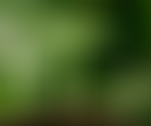 <Point & Focus> 당신은 천하보다 귀하다    