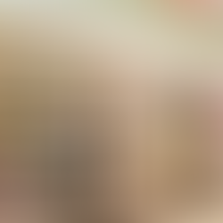 <김민호의 일본이야기>인기 짱, 100엔샵