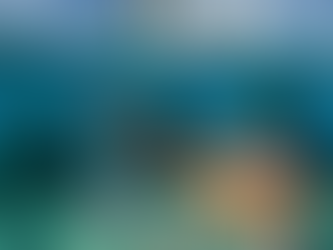 Mercury Marine - 38 Years and Counting!