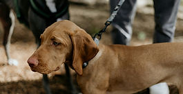 Entscheidung der Woche 02-2025 (ZR)