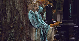 Entscheidung der Woche 10-2025 (ÖR)