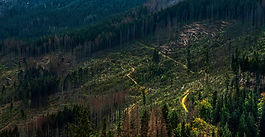 Entscheidung der Woche 38-2024 (ÖR)