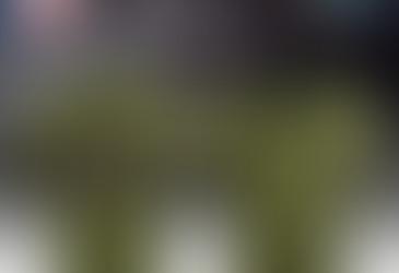 Chicago Bears x Independence Day 2025 Baseball Jersey
