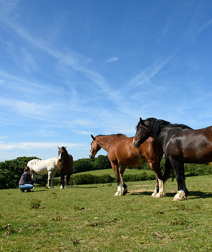 DSC_1437.jpg