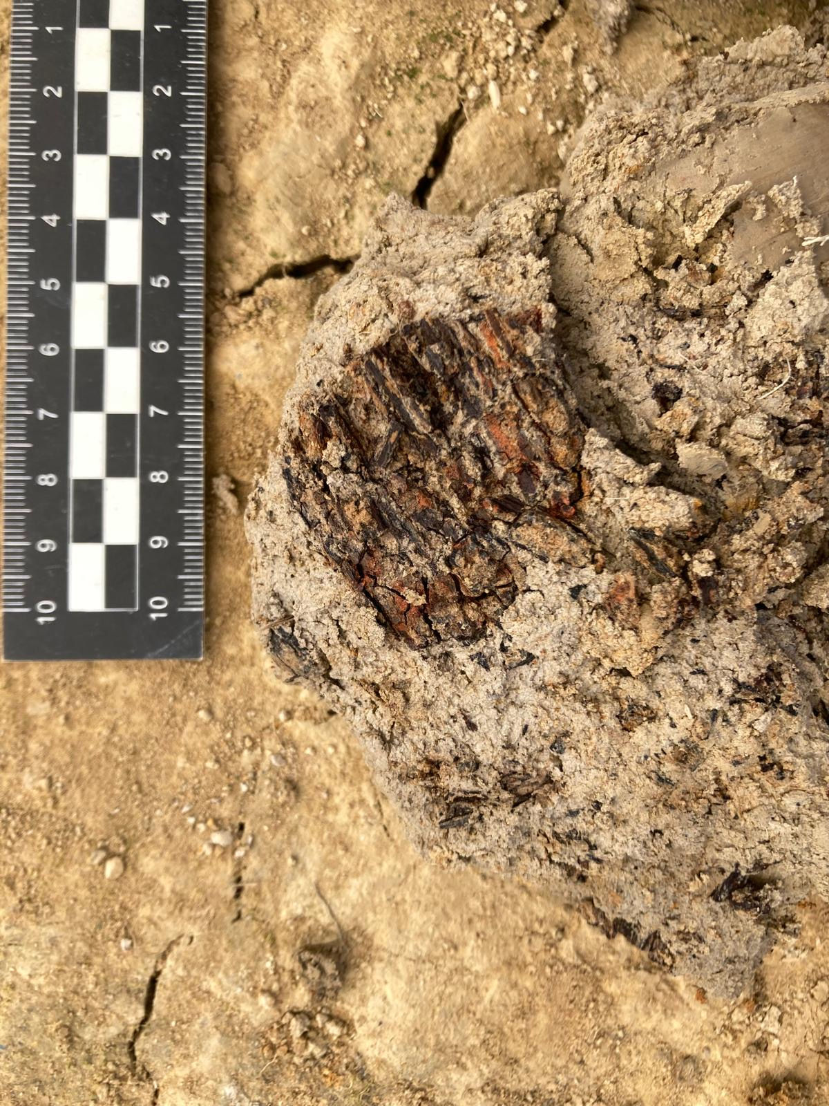 One Day ArchaeologyDig Pass - any month (for adults)