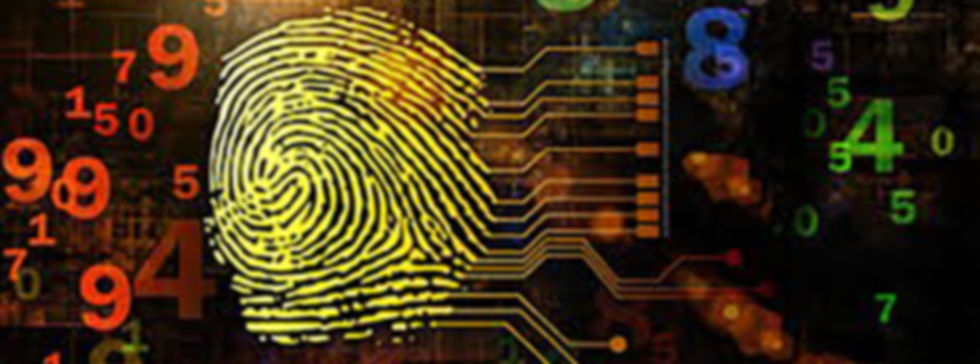 fingerprint numbers 1 (cropped).jpg