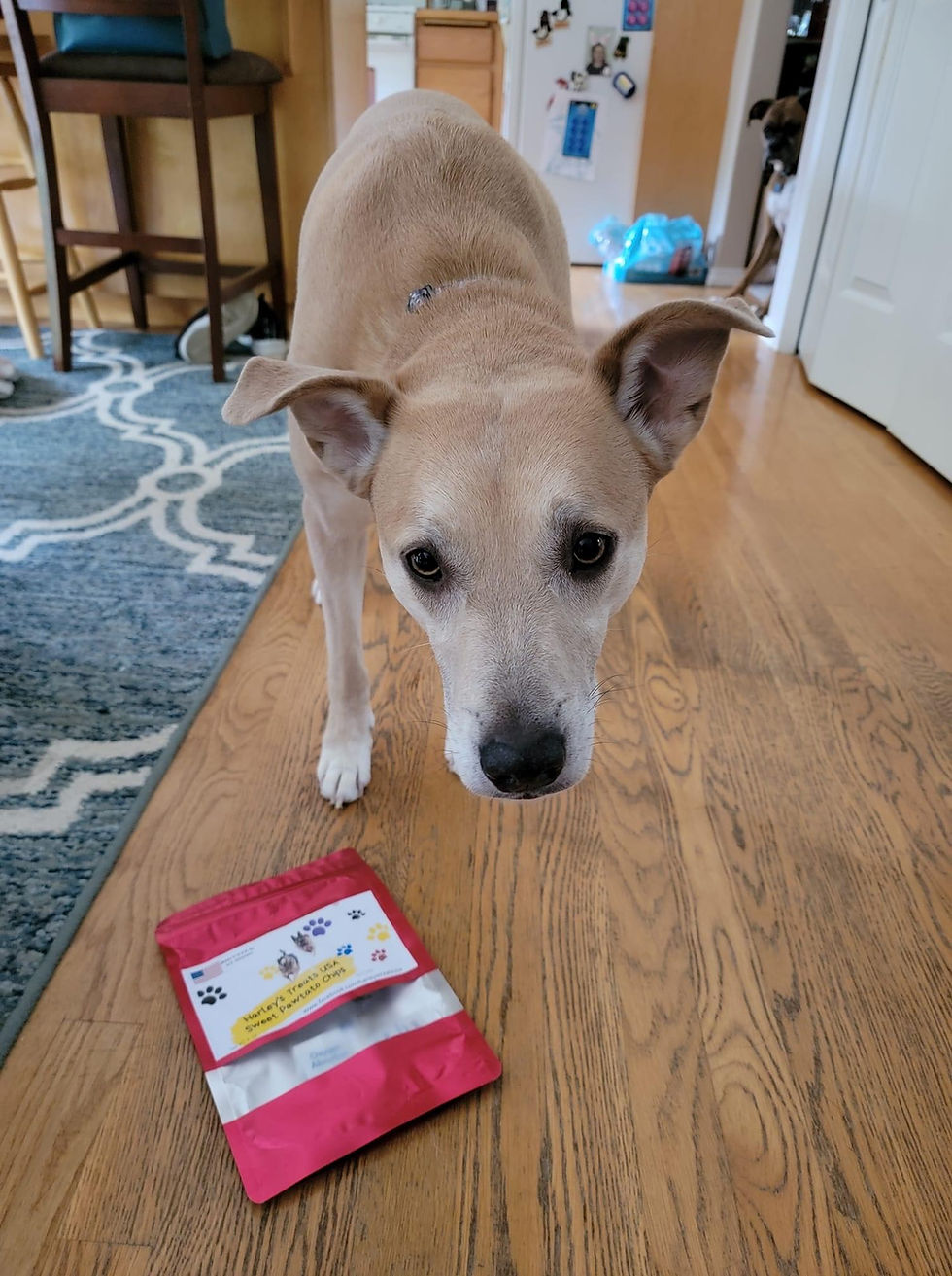 Thumbnail: Novi's Sweet Pawtato Chips