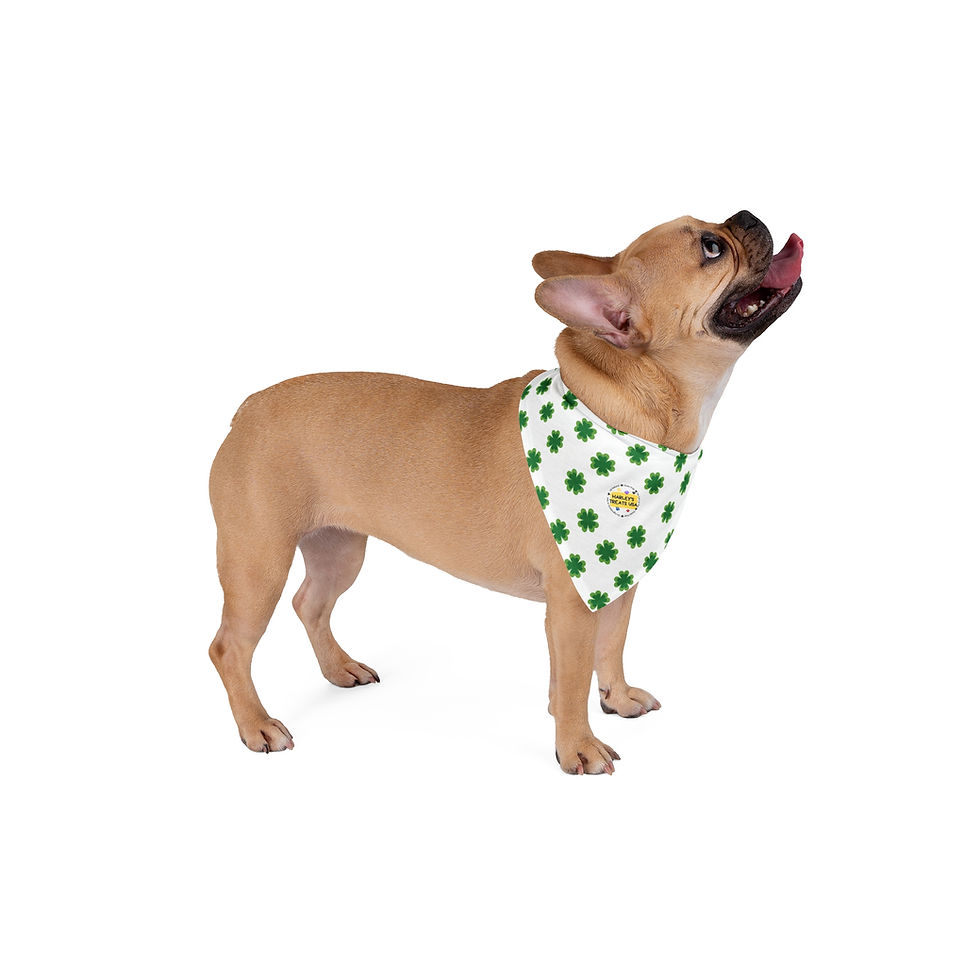 Thumbnail: 🍀 HTUSA Lucky Pup Bandana – St. Patrick’s Day Edition 🐶
