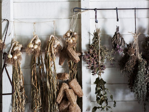 Heilkräuter-Anwendungen – Natürliche Heilmittel für Körper und Geist