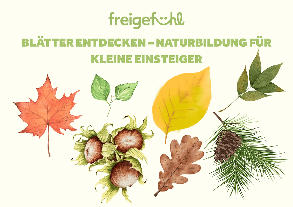 Blätter entdecken – Naturbildung für kleine Einsteiger