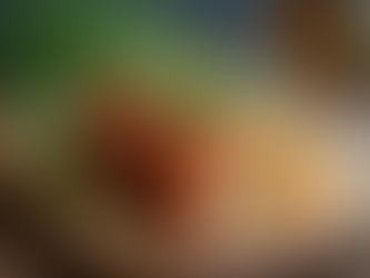 Wie du mit dem Geheimrezept für eine Bärlauchroulade mit Lachs und Feldsalat Frühlingsgefühle weckst