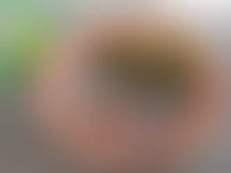 Warum Natur- und Artenschutz in Hagen unser bester Schutz gegen Hitze ist