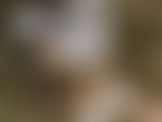 Weihnachtsmarkt Hagen 2025 – Tückinger Weihnachtsmarkt mit regionalen Produkten