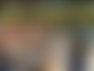 Top 5 Most Expensive Sanitation Tickets in NYC and Why You Need Professional Junk Removal