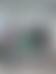 📚✨ Participação da Escola Estadual Dom Bosco na FECIPAN 2025 ✨📚