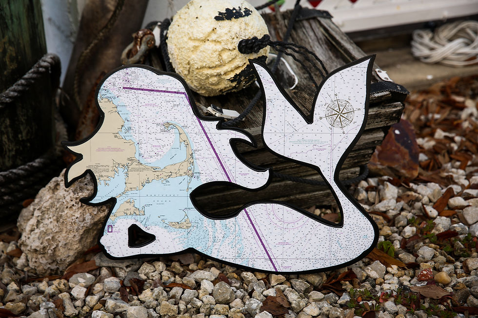 Thumbnail: Custom Order - Your Choice of Fish & Chart Map