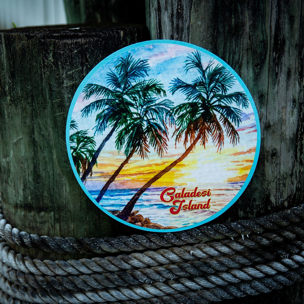 Thumbnail: Caladesi Island Sign - Custom Salty Signs - exterior