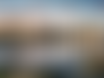 BATTLE PLAN FOR QLD - LGA'S RESPONSE TO COVID-19