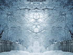 In the Still Darkness of Winter
