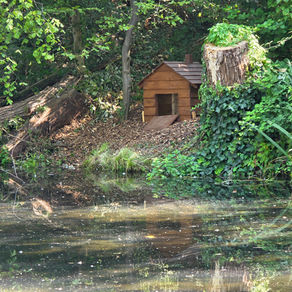 Duckingham Palace