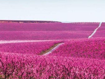 -ABRIMOS UN NUEVO HORIZONTE- ABRIMOS EL SEGUNDO NIVEL DE ASTROLOGÍA-