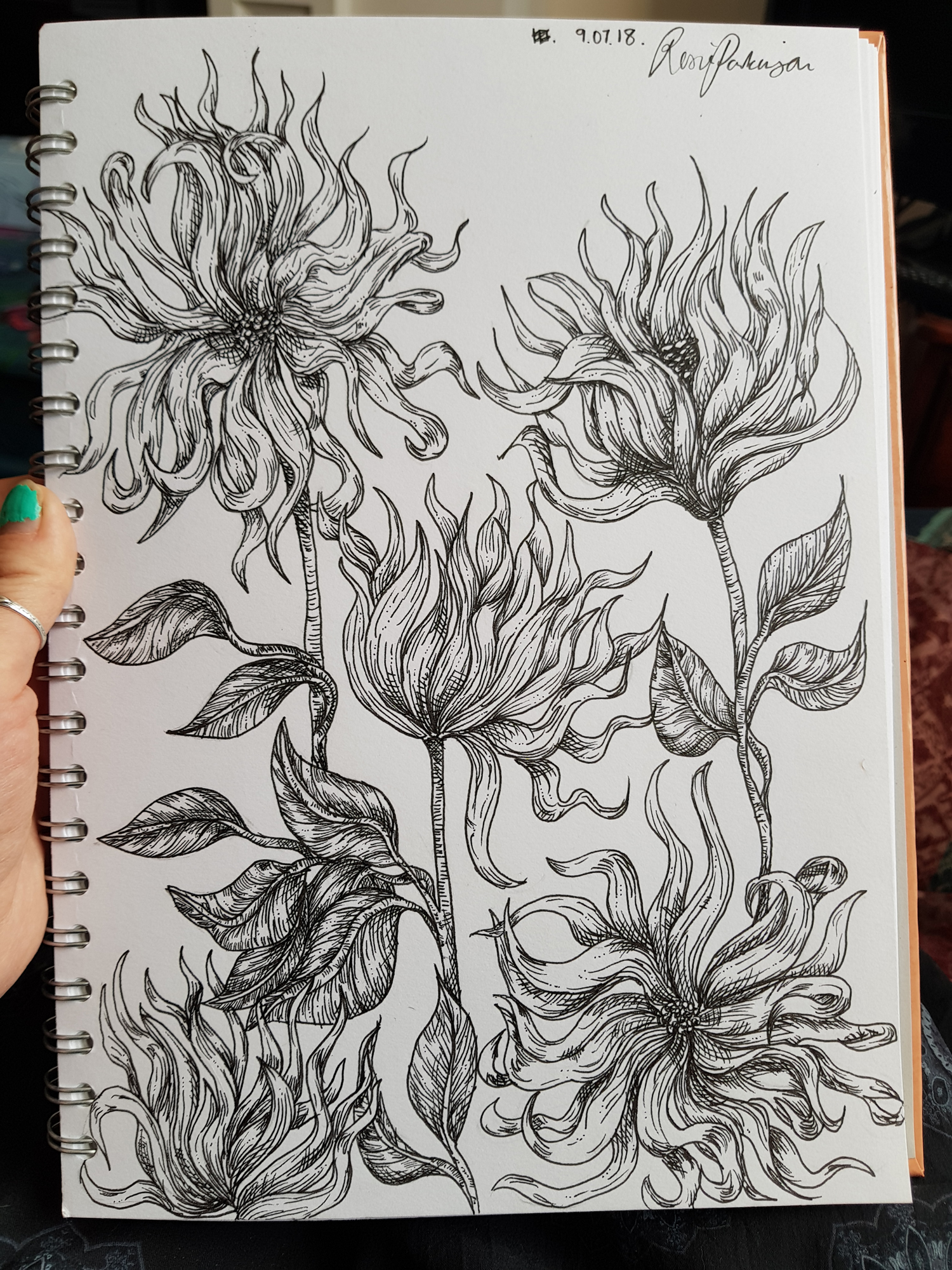 Dahlias Handdrawn