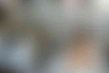 Grand Bohemian Asheville Wedding Photographer