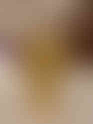 Brass RadhaKrishna Under Tree 3.5″