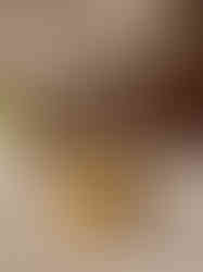 Brass Duck Doop Holder 4″