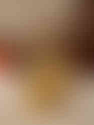 Brass Paavai Diya Standing On Elephant Idol Pair 9.5″