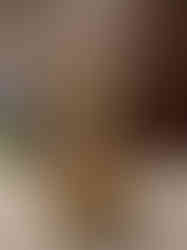 Brass Peacock 5 face Diya- 11′