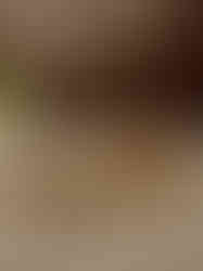 Brass Tea cup and saucer with Design 2''