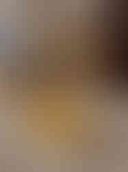 Brass Uruli Ganesha – 8″