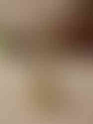 Brass Fine art Vishnu Idol