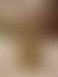 Brass Fine art Gajalakshmi Idol