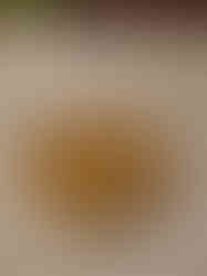 Brass Floral Design Chowki Small 1''