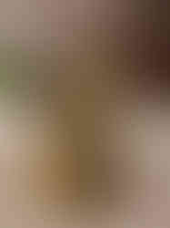 Brass Fine Art Round Base Ganesha Statue 4.5″