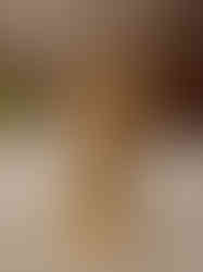 Brass Balaji Idol 9.5"