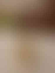 Brass Jumping Horse Statue 2.5″