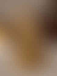 Brass AshtaGanesha Idol 9''