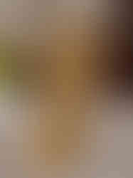 Brass Thiruvachi Murugan Idol