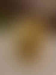 Brass Perumal With Lakshmi Padi 3"